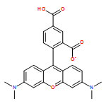 Xanthylium, 9-(2,5-dicarboxyphenyl)-3,6-bis(dimethylamino)-, inner salt