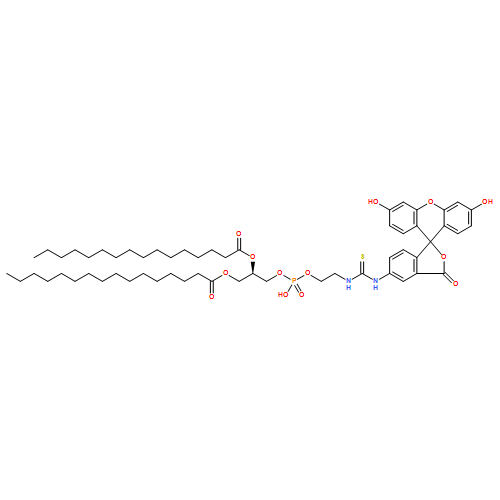 Fluorescein-Dipalmitoylphosphatidylethanolamine