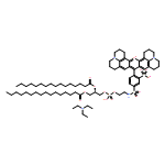 Sulforhodamine 101 1,2-dihexadecanoyl-SN-glycero-3-phosphoethanolLamine, triethylammonium salt