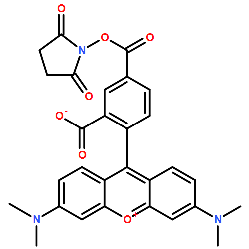 5-Carboxytetramethylrhodamine succinimidyl ester