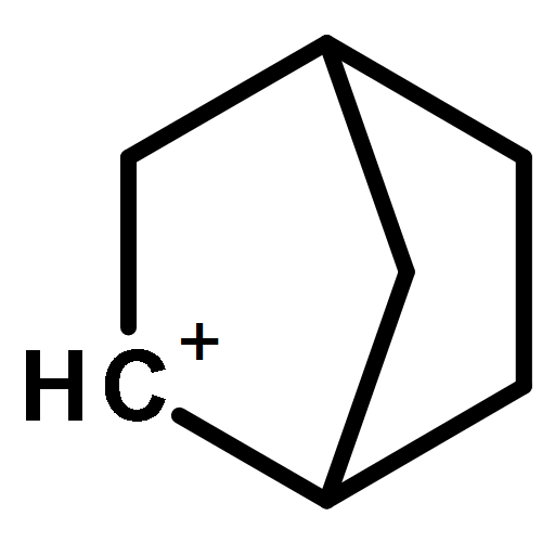 Bicyclo[2.2.1]hept-2-ylium