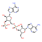 adenylyl-(3'-5')-adenosine 3'-monophosphate