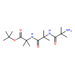 Alanine, 2-methylalanyl-2-methylalanyl-2-methyl-, 1,1-dimethylethyl ester