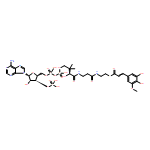 Coenzyme A, S-[3-(3,4-dihydroxy-5-methoxyphenyl)-2-propenoate]