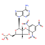 5'-Adenylic acid, 2',3'-O-(2,4,6-trinitro-2,4-cyclohexadien-1-ylidene)-, ion(1-)