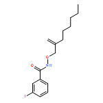 Benzamide, 3-iodo-N-[(2-methyleneoctyl)oxy]- 