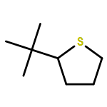 Thiophene, 2-(1,1-dimethylethyl)tetrahydro- 