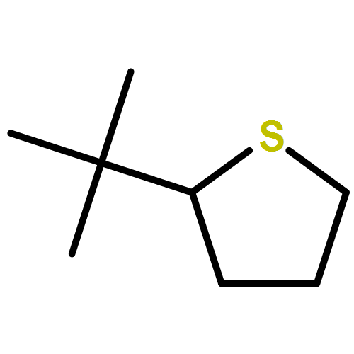 Thiophene, 2-(1,1-dimethylethyl)tetrahydro- 