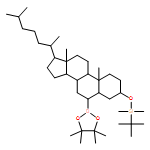 1,3,2-Dioxaborolane, 2-[(3β,5α,6α)-3-[[(1,1-dimethylethyl)dimethylsilyl]oxy]cholestan-6-yl]-4,4,5,5-tetramethyl- 