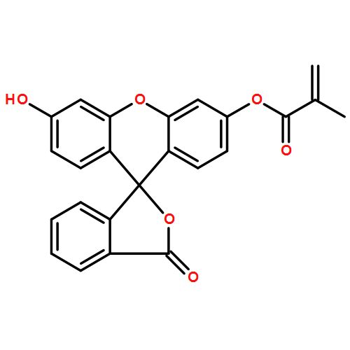 FLUORESCEIN O-METHACRYLATE  97