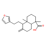 1-Naphthalenecarboxylic acid, 5-[2-(3-furanyl)ethyl]decahydro-1,4a-dimethyl-6-methylene-, (1S,4aR,5S,8aR)-