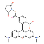 6-Carboxytetramethylrhodamine succinimidyl ester