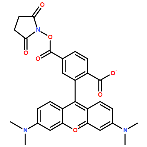 6-Carboxytetramethylrhodamine succinimidyl ester