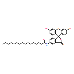 5-HEXADECANOYLAMINOFLUORESCEIN 