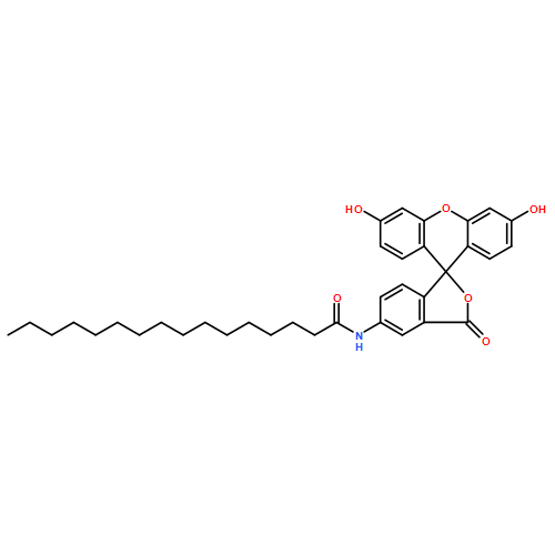 5-HEXADECANOYLAMINOFLUORESCEIN 