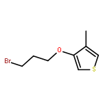 3-(3-BROMOPROPOXY)-4-METHYLTHIOPHENE